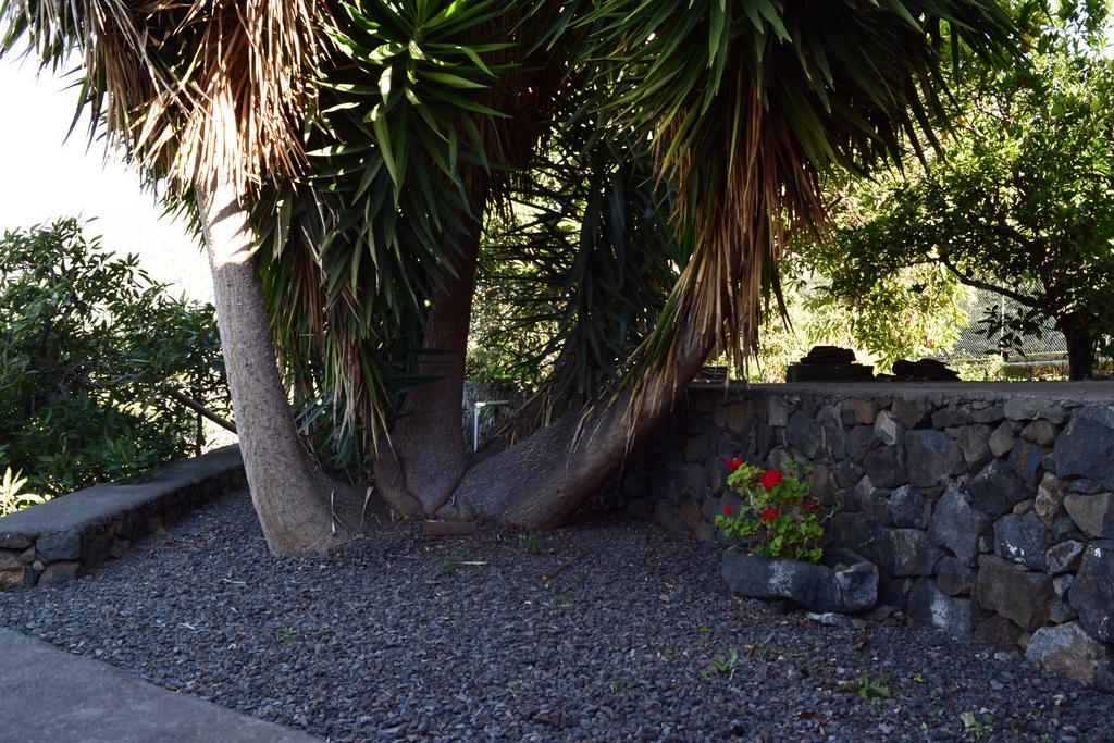 Casa Rural Olga El Paso Ngoại thất bức ảnh